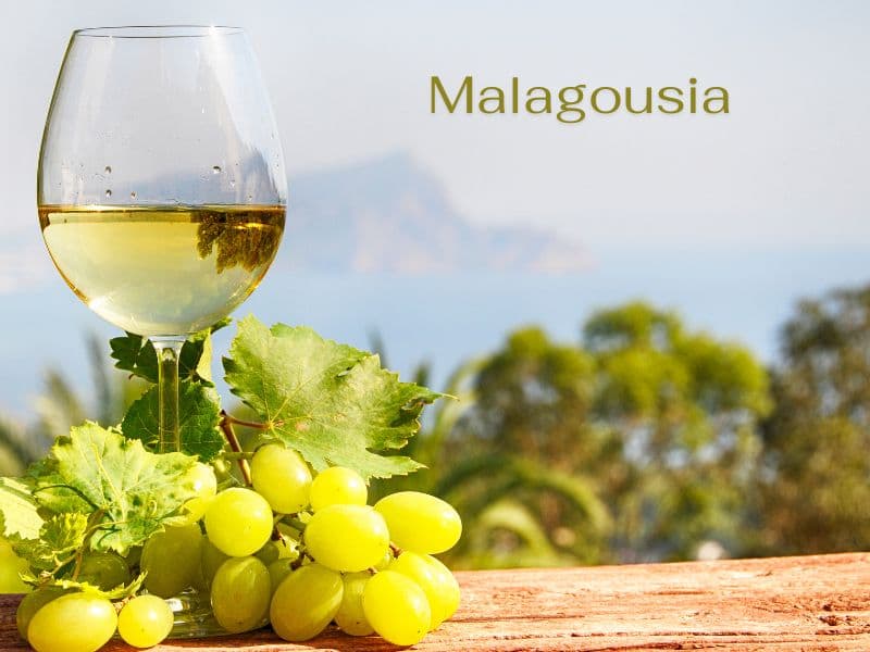 Die besten griechischen Weine online kaufen