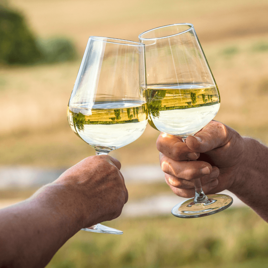 Griechischen Weißwein kaufen