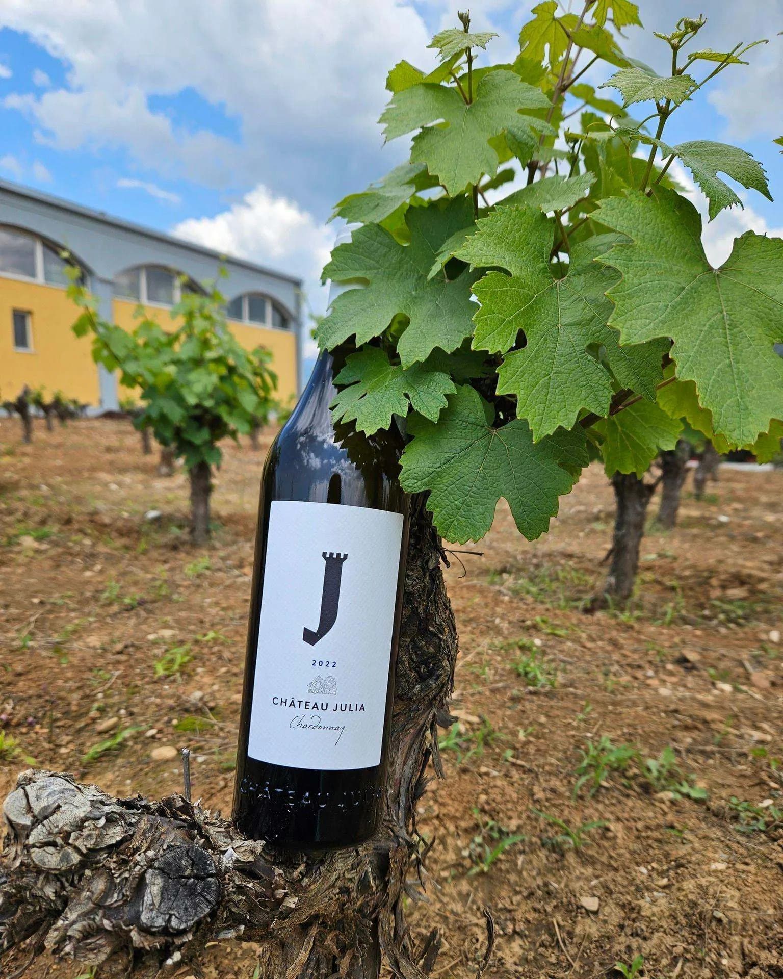 Chateau Julia Chardonnay