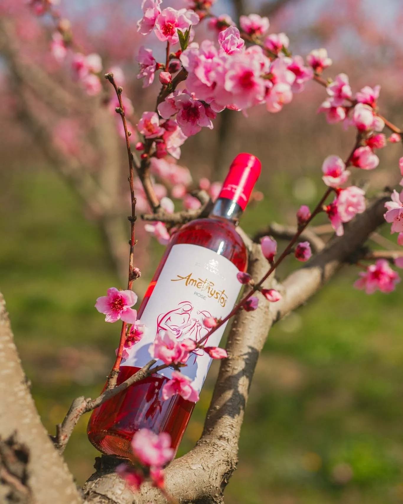 Amethystos Rosé - Costa Lazaridi