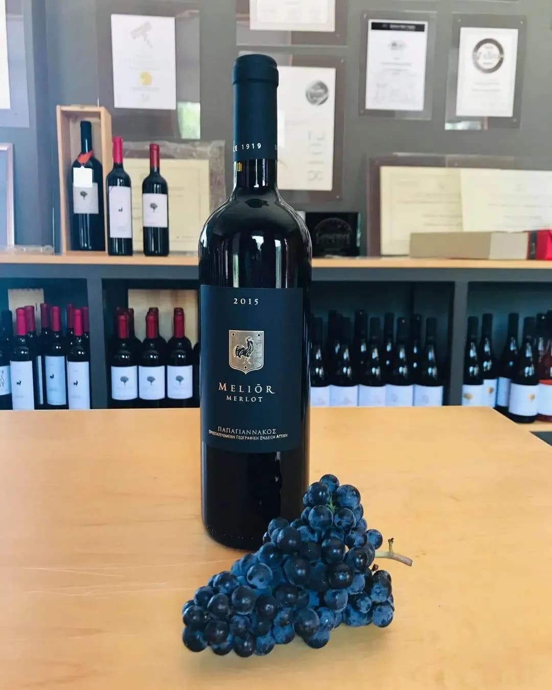 Papagiannakos Melior Merlot
