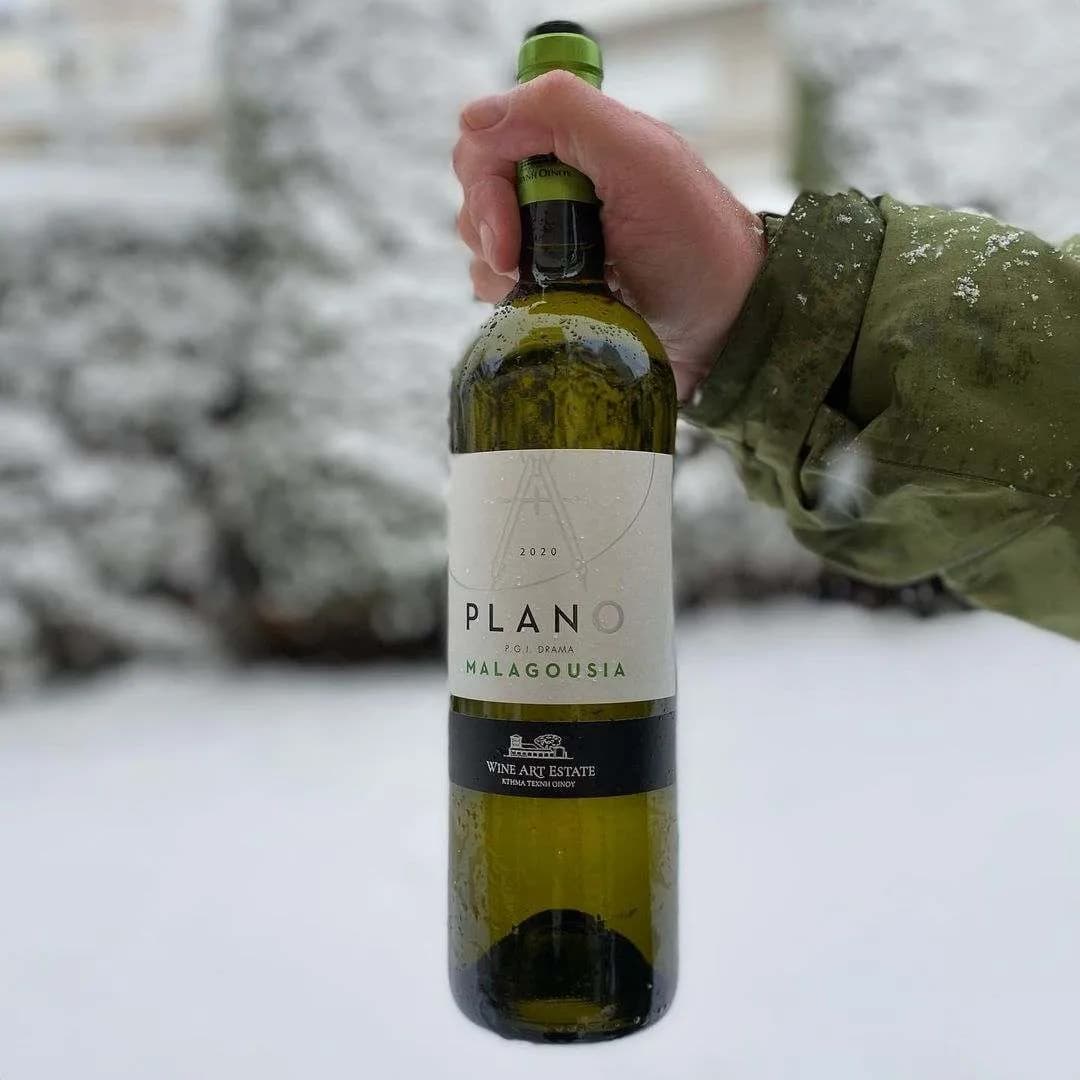 Plano Malagousia - Wine Art Estate