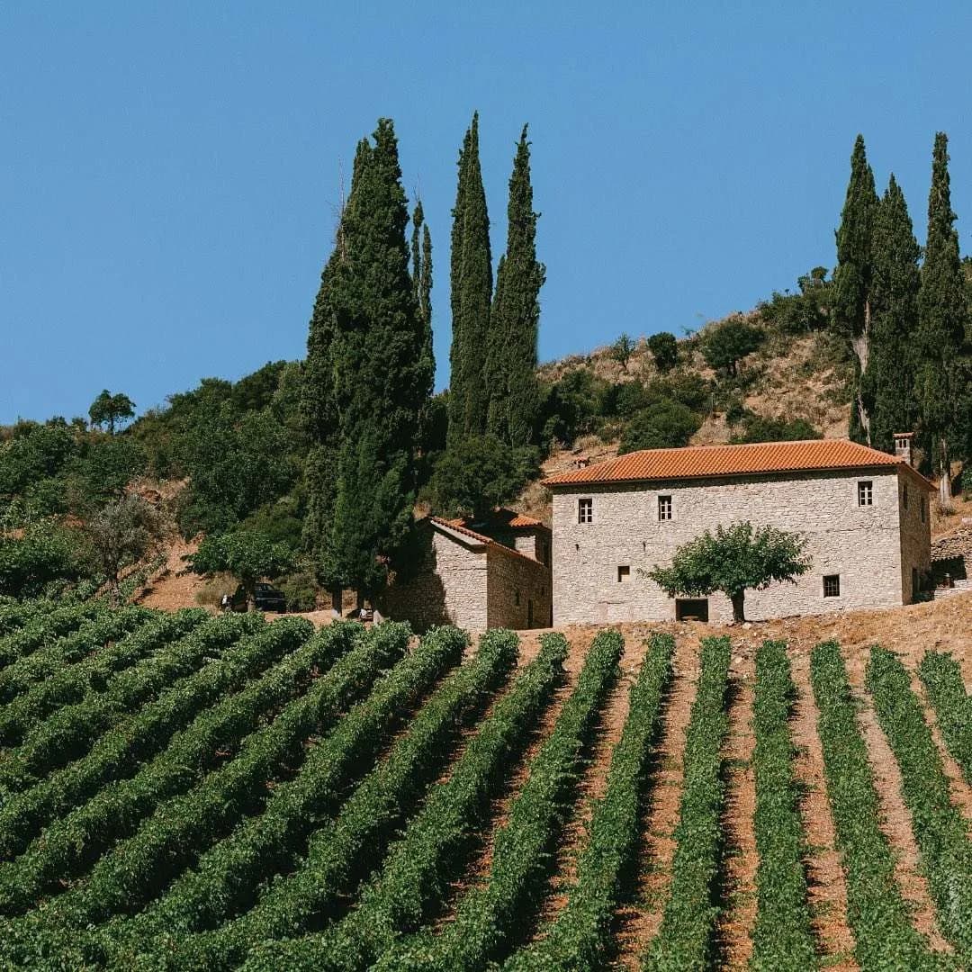 Mega Spileo Grande Cave - Domaine Mega Spileo