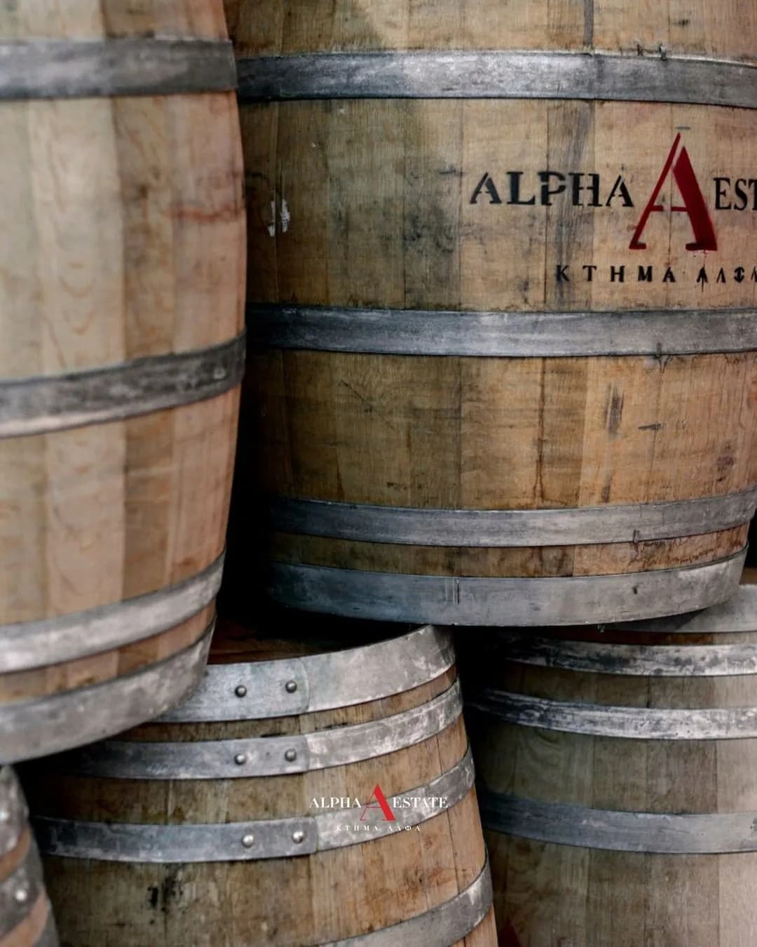 Syrah Turtles - Alpha Estate