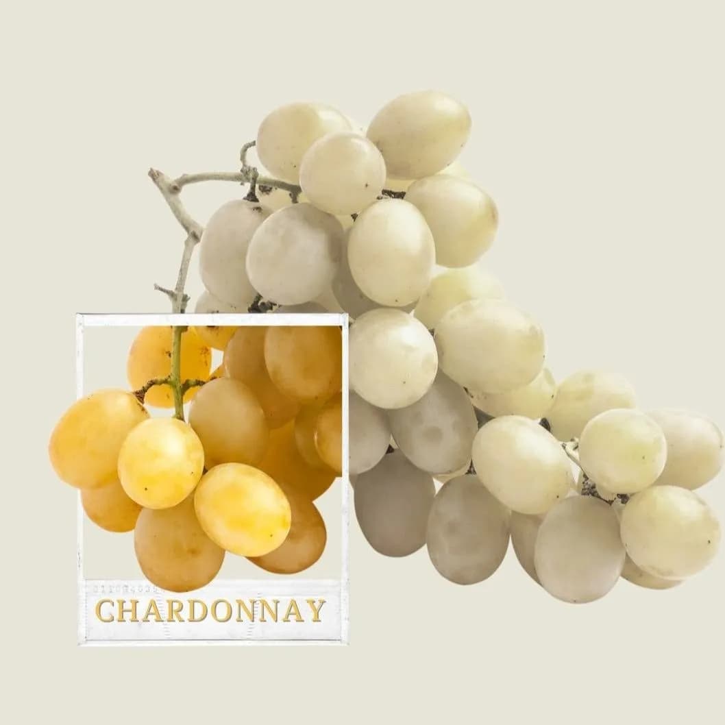 Ecosystem Chardonnay - Alpha Estate