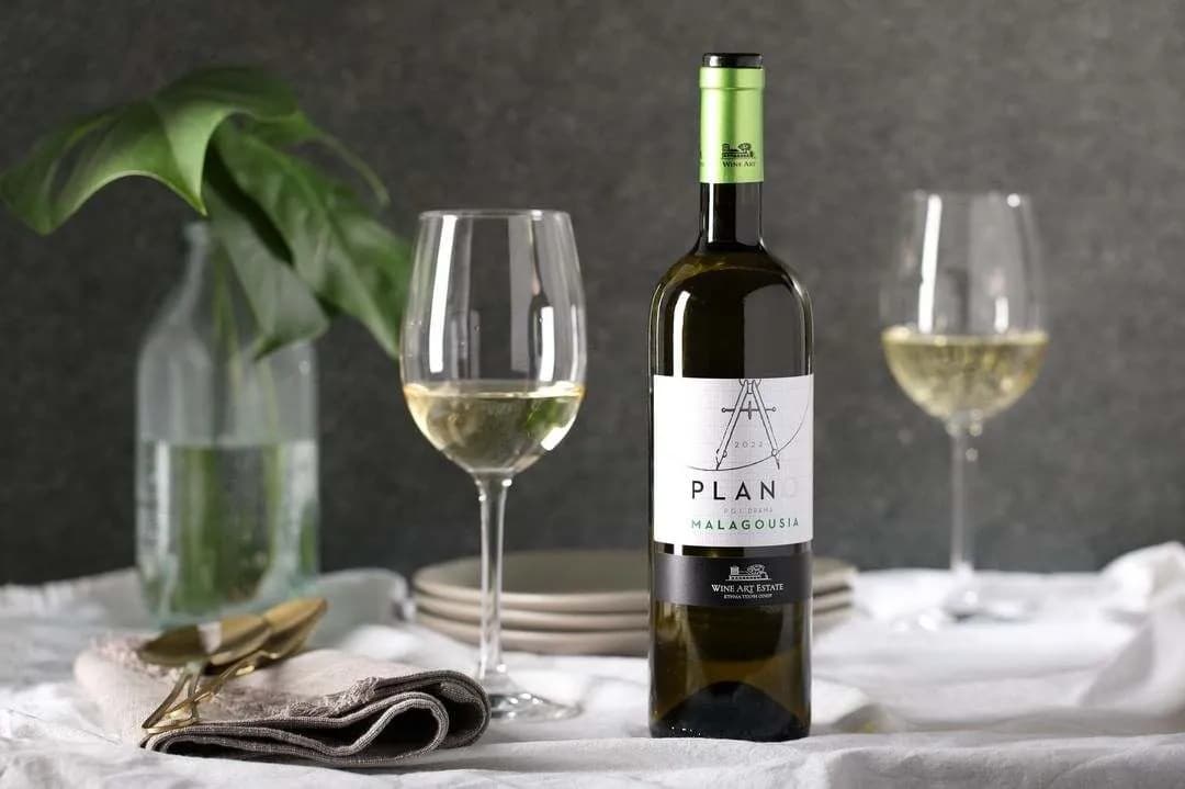 Plano Malagousia - Wine Art Estate