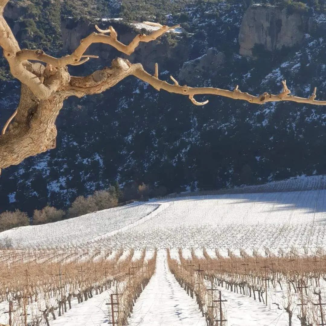 Mega Spileo Cabernet Sauvignon