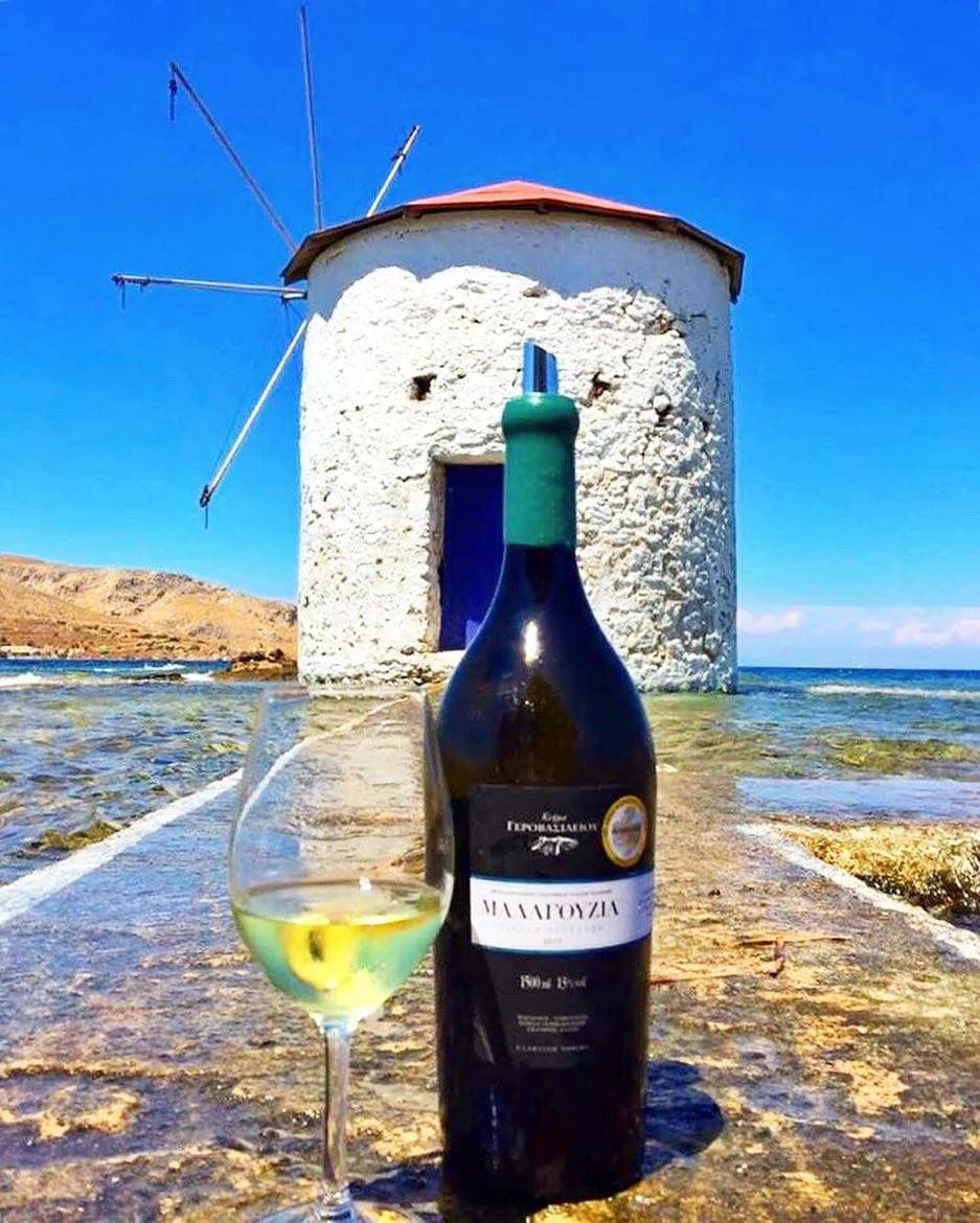 Gerovassiliou Malagousia - Domaine Gerovassiliou