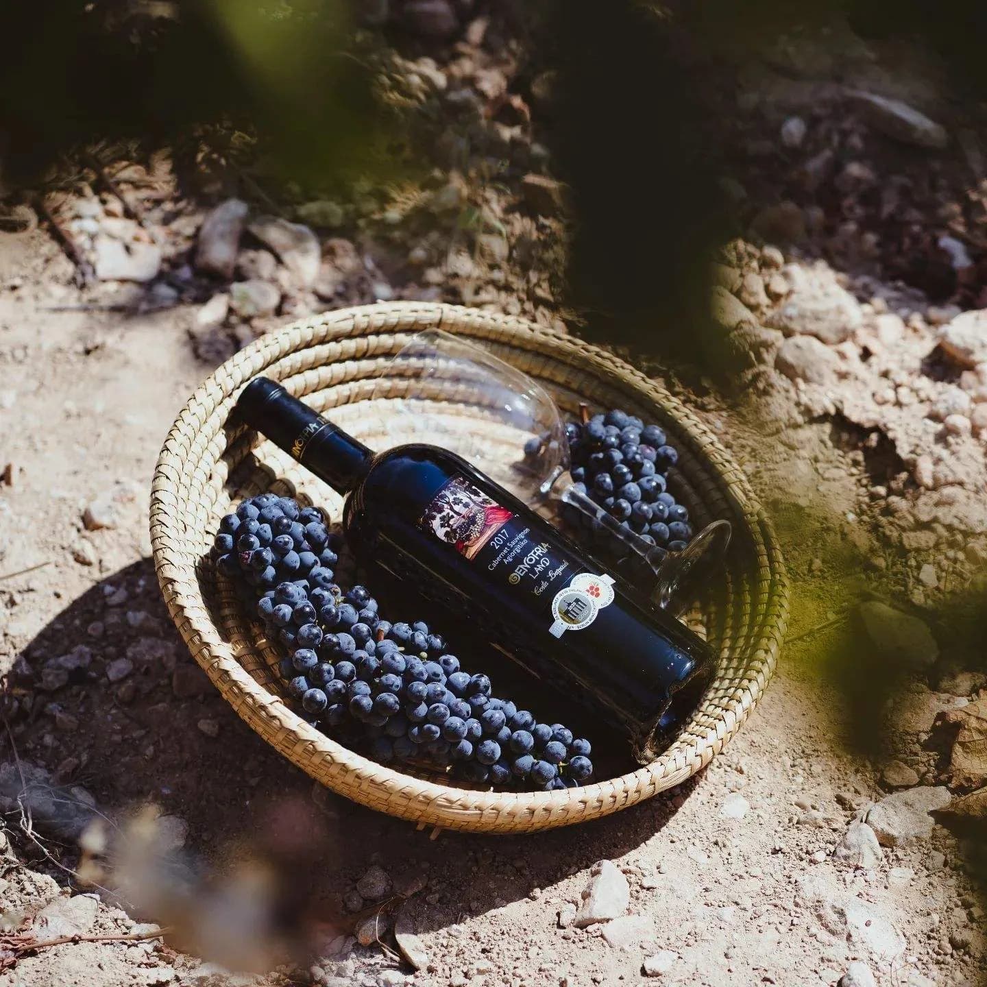 Oenotria Land Cabernet-Agiorgitiko Bio
