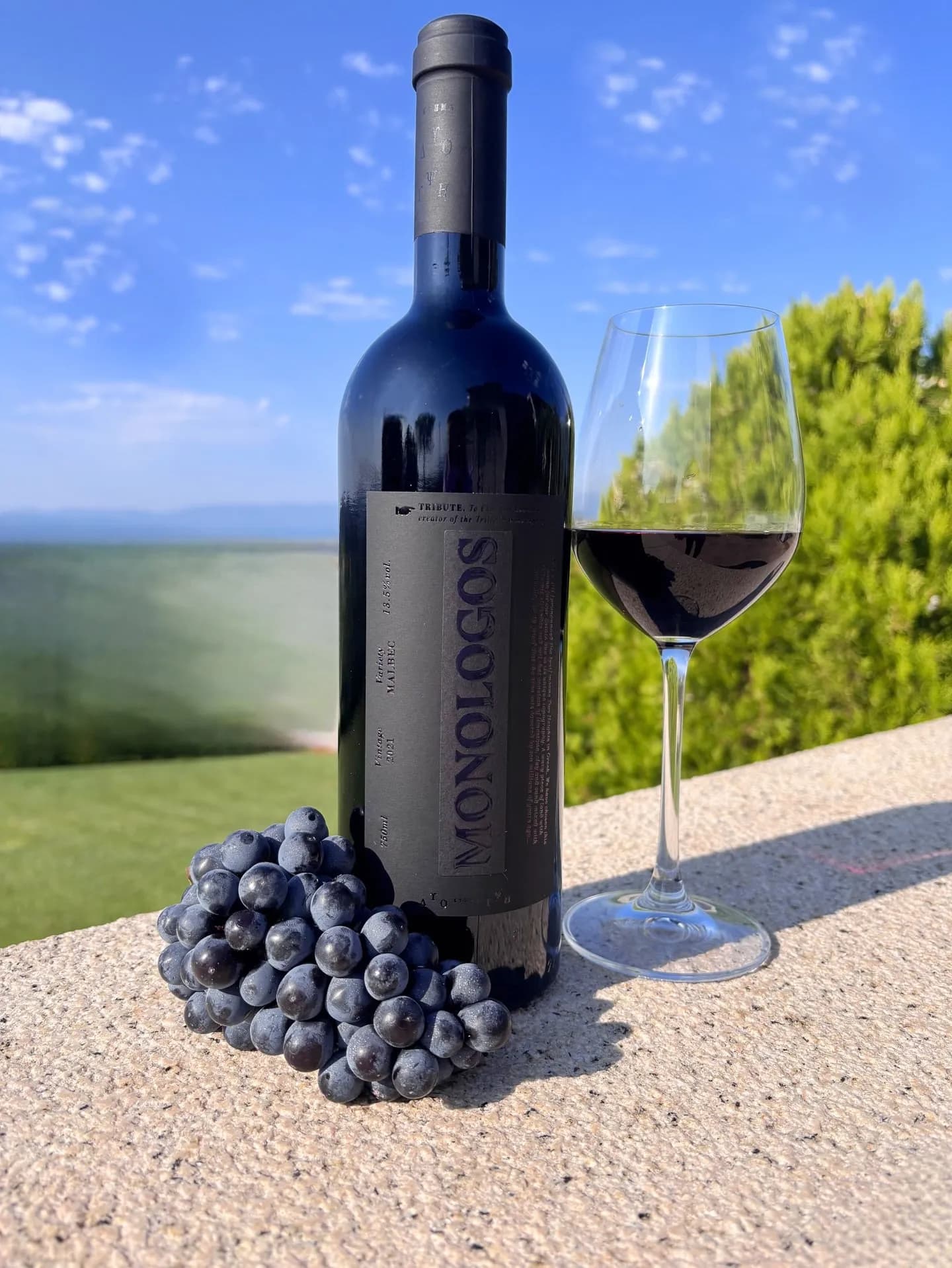 Monologos Malbec - Dyo Ipsi Estate
