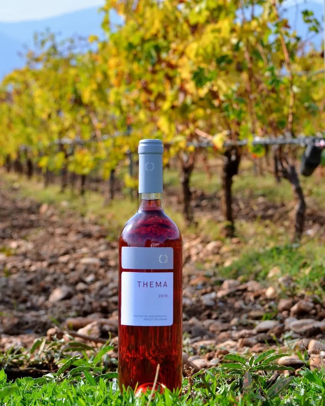 Pavlidis Thema Rosé - Ktima Pavlidis