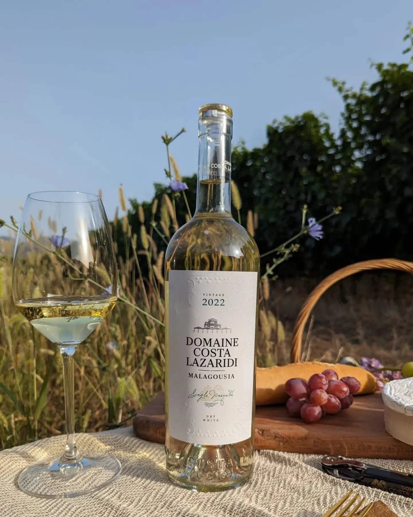 Malagousia Domaine Costa Lazaridi