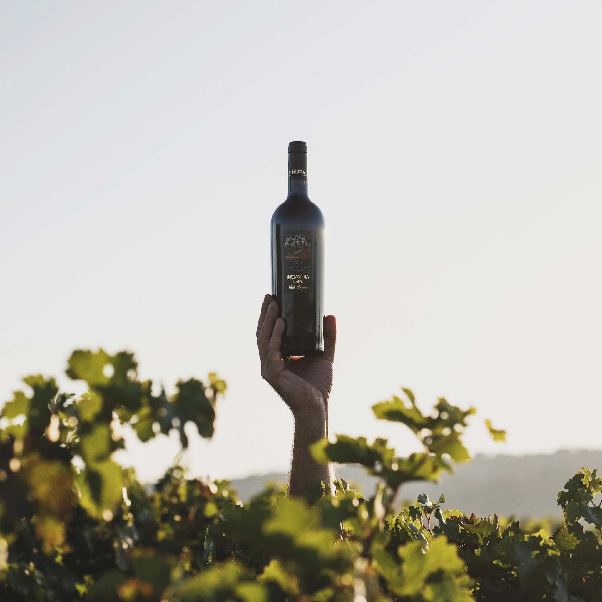 Oenotria Land Cabernet-Agiorgitiko Bio