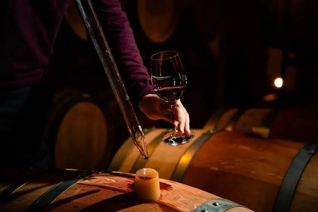 Papagiannakos Melior Merlot