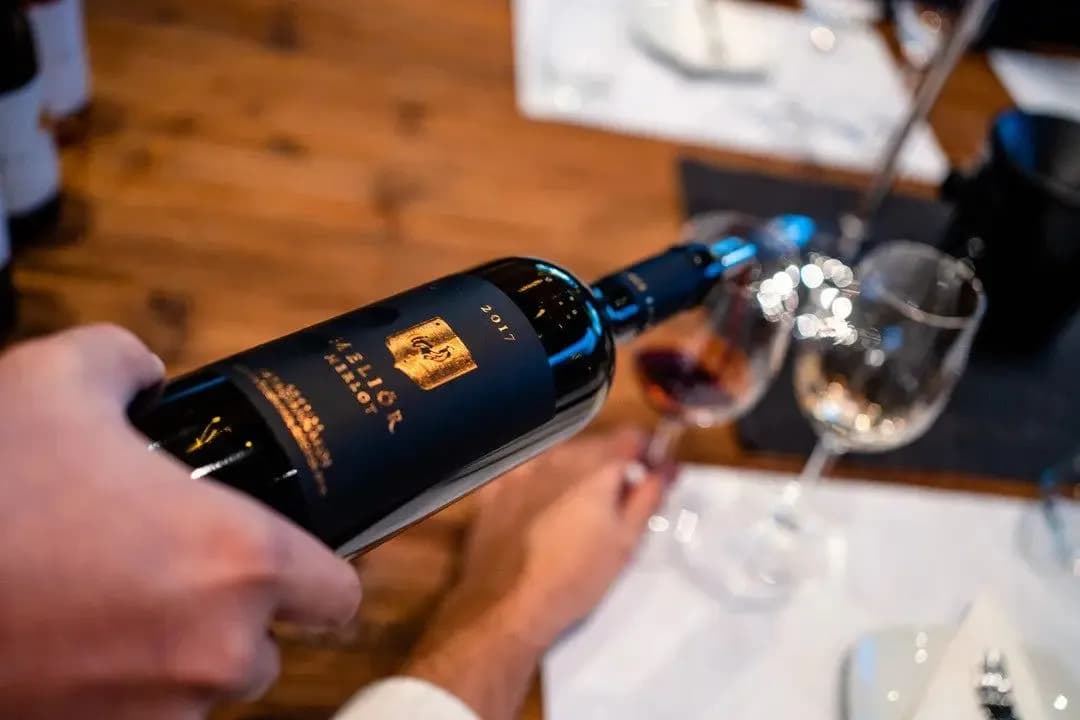 Papagiannakos Melior Merlot